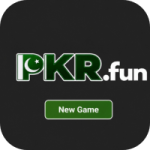 PKRFUN Game